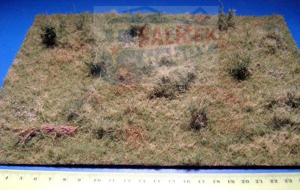 Lesní porost varianta H - Polák 9818