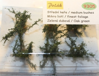 Keře - Střední keře - mikro listí - Zelená dubová , Polák 9305