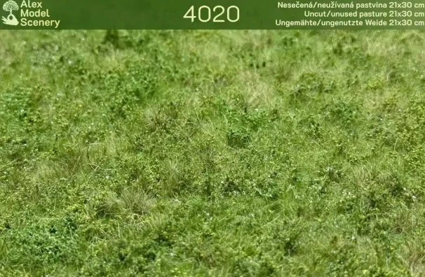 Nesečená/neužívaná pastvina