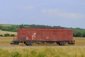 Krytý vůz Gbgs 10 ČD 1:120