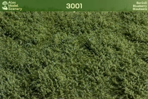 Borůvčí - AMS-3001