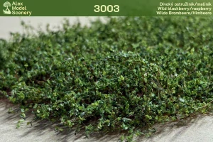 Divoký ostružiník/maliník - AMS-3003