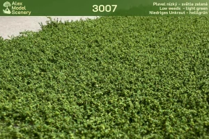 Plevel nízký - světle zelená - AMS-3007