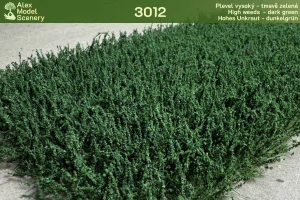 Plevel vysoký - tmavší zelená - AMS-3012