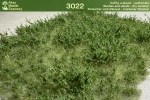 Keře a plevel - suché léto - AMS-3022