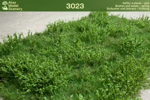 Keře a plevel - jaro - AMS-3023