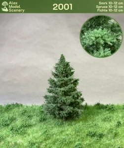 Smrk 10-12 cm - AMS-2001