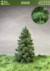 Smrk 12-14 cm - AMS-2002