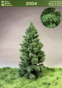 Smrk 17-19 cm - AMS-2004