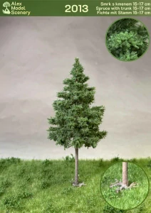 Smrk 15-17 cm kmen - AMS-2013