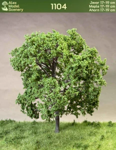 Javor 17-19 cm - AMS-1104