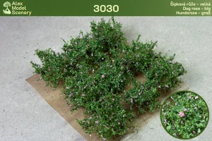 Šípková růže velká 9 ks - AMS-3030