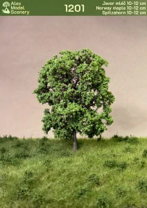 Javor mléč 11-13 cm - AMS-1201