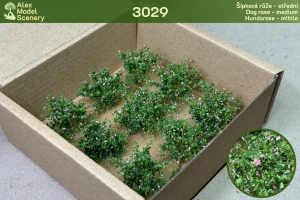 Šípková růže střední 9 ks - AMS-3029