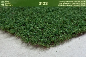 Divoký ostružiník/maliník TT/N