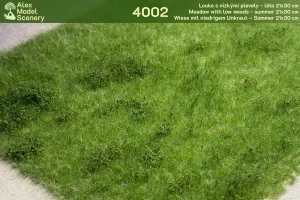 Louka s nízkými plevely - léto