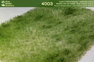 Louka s nízkými plevely - sušší léto