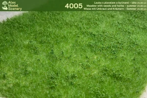 Louka s plevely a bylinami - léto