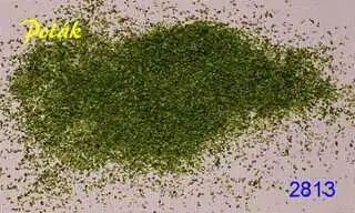 Naturex F - Zelený odstín - hrubý - Zelená světlá, Polák 2813