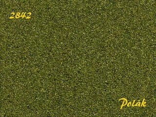 Naturex F - Zelený odstín - střední - Zelená střední, Polák 2842