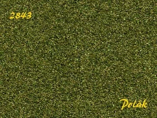 Naturex F - Zelený odstín - hurbý - Zelená střední, Polák 2843