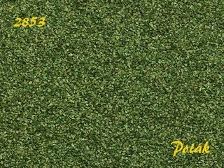 Naturex F - Zelený odstín - hrubý - Zelená buková, Polák 2853