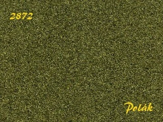 Naturex F - Zelený odstín- střední - Zelená tmavá, Polák 2872