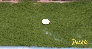 SITDEKOR - Zelená dubová, Polák 7425