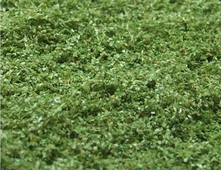 NATUREX mikro - Zelená střední, Polák 9004