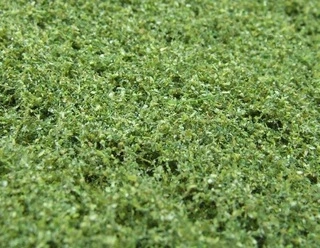 NATUREX mikro - Zelený mix, Polák 9056