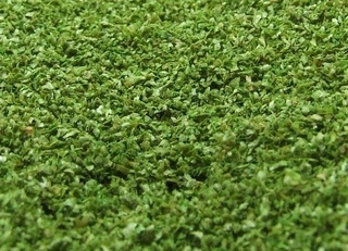 NATUREX střední - Zelená břízová, Polák 9023