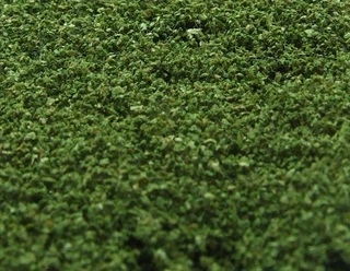 NATUREX střední - Zelená střední, Polák 9024