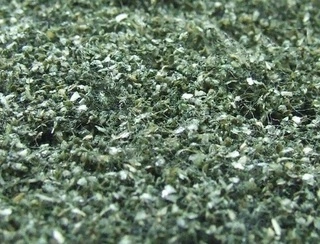 NATUREX střední - Zelená tmavá, Polák 9026