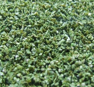 NATUREX střední - Zelená osiková, Polák 9071