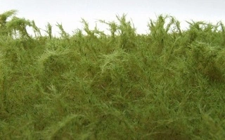 Vysoká tráva - Zelená střední, Polák 5942