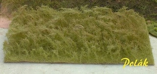 Vysoká tráva - Proschlá tráva, Polák 5944