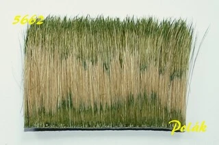 Rákosí - Zelená střední - Polák 5662