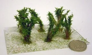 Keře - Střední keře - mikro listí - Zelená světlá , Polák 9302