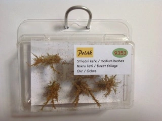 Keře - Střední keře - mikro listí - Okr, Polák 9353