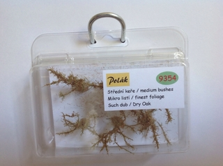 Keře - Střední keře - mikro listí - Suchý dub, Polák 9354
