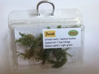 Keře - Střední keře - jemné listí - Zelená světlá , Polák 9312