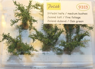 Keře - Střední keře - jemné listí - Zelená dubová , Polák 9315