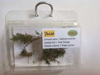 Keře - Střední keře - jemné listí - Zelená osiková , Polák 9361