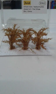 Keře - Střední keře - jemné listí - Okr, Polák 9363