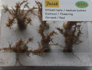 Keře - Střední keře - kvetoucí - Červená, Polák 9381