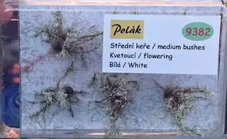 Keře - Střední keře - kvetoucí - Bílá, Polák 9382
