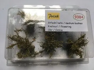 Keře - Střední keře - kvetoucí - Okr, Polák 9384