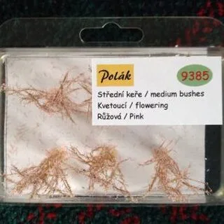 Keře - Střední keře - kvetoucí - Růžová, Polák 9385