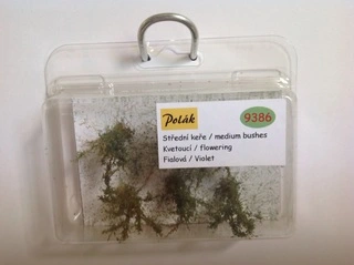 Keře - Střední keře - kvetoucí - Fialová, Polák 9386