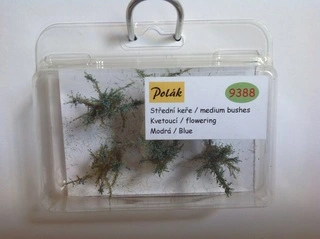 Keře - Střední keře - kvetoucí - Modrá, Polák 9388